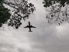 -空港花田景区