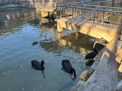 -森林公园(尖草坪区)