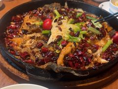 -老板恋上鱼(恒隆广场店)