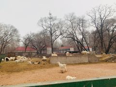 -秦皇岛野生动物园