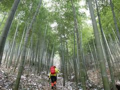 -湖州龙王山景区
