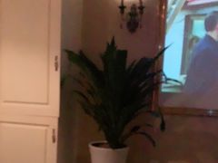 -都悦君豪足浴推拿(华府大道店)