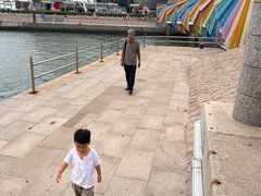 -琴岛之星摩天轮