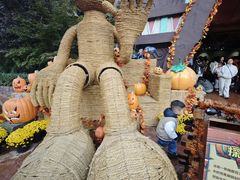 -郑州方特梦幻王国