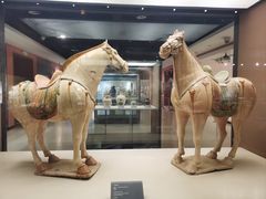 -西安大唐西市博物馆