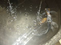 -立山居酒屋·烧鸟 天妇罗(西北湖店)