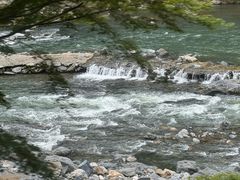 -岚山嵯峨野观光小火车