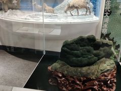 -中国第四纪冰川遗迹陈列馆