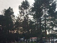 -北极村旅游风景区