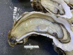 -板桥海鲜广场(文明东店)