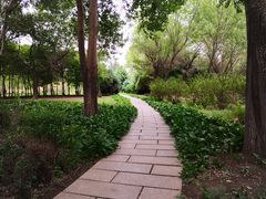 -长春公园(普阳街道)