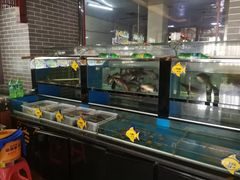 水产区-老庞家水馅包子馆