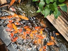 -上海大自然野生昆虫馆(东方明珠·爬宠昆虫探索中心)