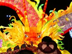 -武汉园博园(武汉自然博物馆)