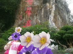 -星湖旅游景区七星岩