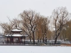 -陶然亭公园