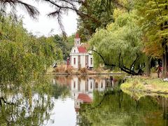 -上海共青森林公园