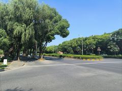 -胜华驾校·小猫学车(银都店)
