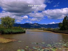 -野鸭湖国家湿地公园