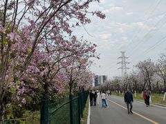 -广东花都湖国家湿地公园