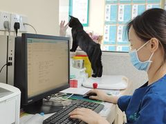 -谐和贝康宠物医院24小时·宠保定点(急重症转诊中心)