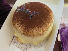 -狐狸和向日葵(北京路店)