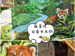 -红山森林动物园