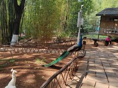 -昆明动物园