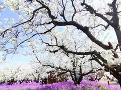 -江苏三台山国家森林公园