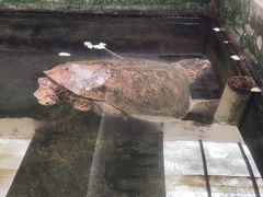 -硇洲岛旅游区