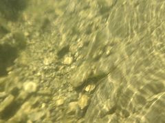 -楠溪江风景名胜区