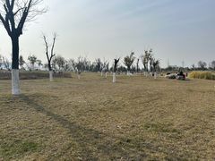 -汉长安城未央宫国家考古遗址公园