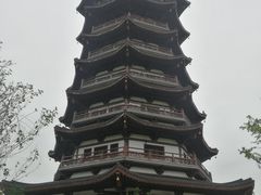 -洋湖国家湿地公园
