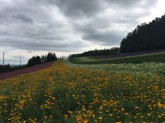 -富田农场