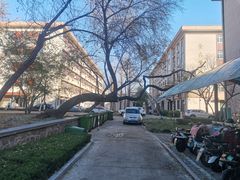 -山东农业大学(岱宗校区)