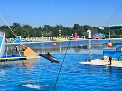 -秦皇岛乐岛海洋王国