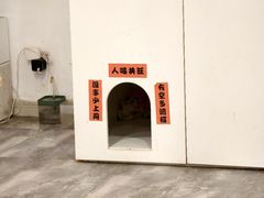-楼上猫咖(罗湖店)