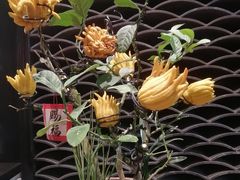 -粥旺庄(芳村店)