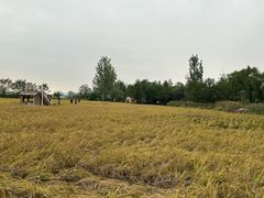 -林间山庄