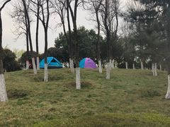 -洨河生态公园