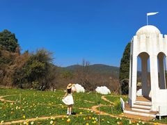 -名花谷生态庄园