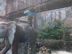-呀路古热带植物园