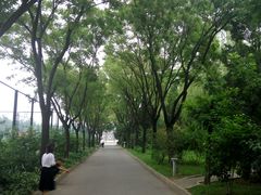 -中国政法大学(昌平校区)