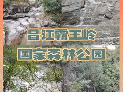 -海南霸王岭国家森林公园