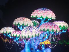 -北京世界公园
