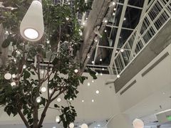 -大树餐厅(红旗街万达店)