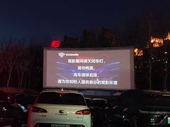-枫花园汽车电影院(朝阳公园店)