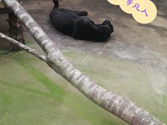 -西安秦岭野生动物园