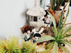 -风甜日暖·星座主题甜点(东二环泰禾店)