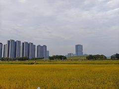 -光明小镇欢乐田园
